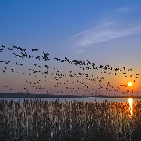 Appartement Leuchtfeuer, Fuer 4 Personen - Erwachsene Oder - In De Feerjenhusen Am Haubarg Von Vollerwiek, Fertigstellung April 2020